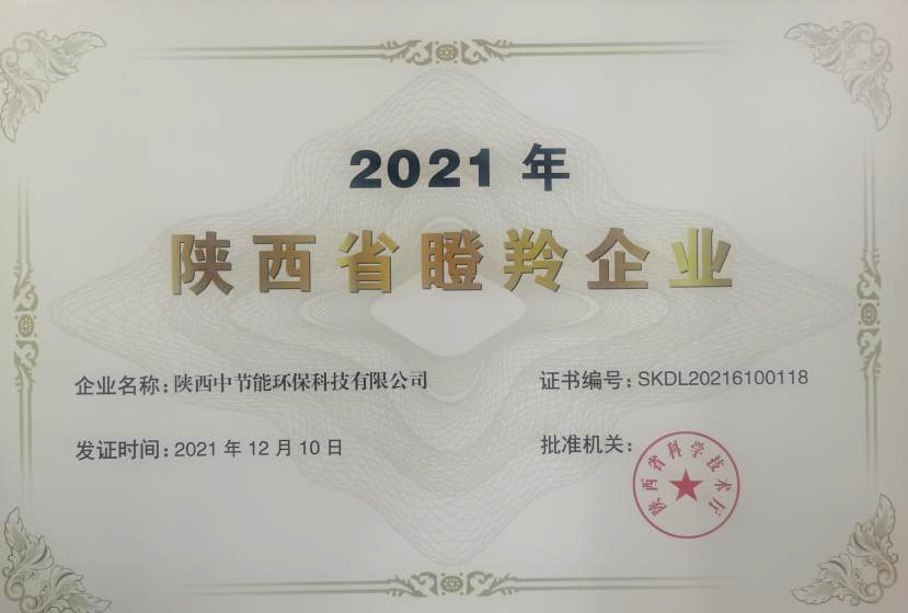 公司順利通過陜西省瞪羚企業(yè)認(rèn)定